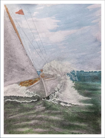 Kappsegling Kattegatt.