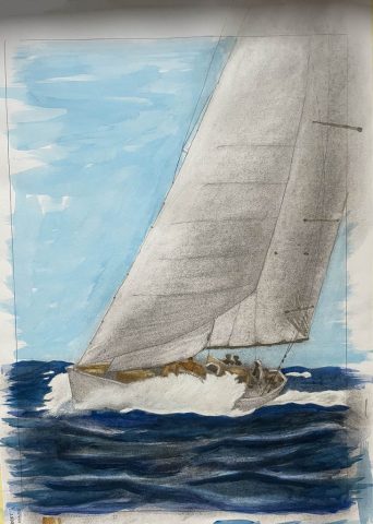 Bogsvall